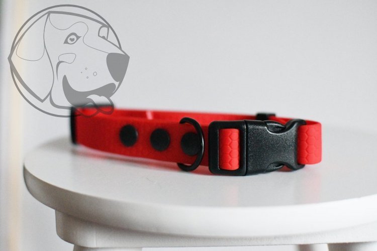 OBOJEK HEXA 20 MM PLASTOVÝ TROJZUBEC - Barva: Zelená, Velikost obojku: Velký