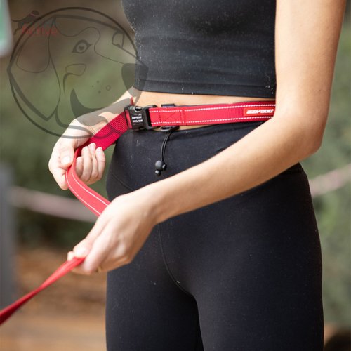 EZYDOG VODÍTKO ROAD RUNNER LEASH™ - ORANGE / 210 cm
