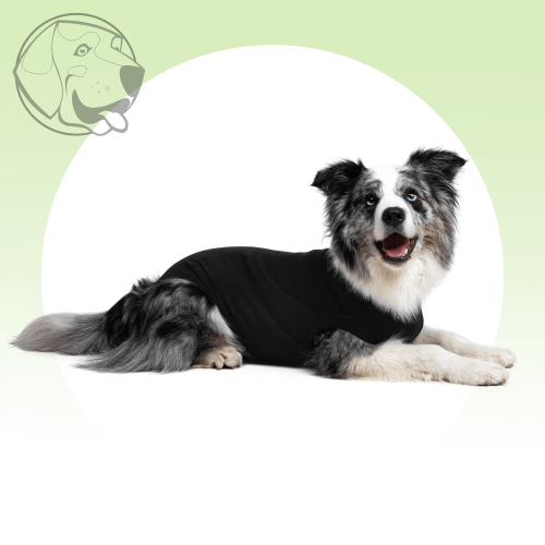 Pooperační ochranné oblečení pro psa černé - Délka hřbetu: 49 - 57 cm