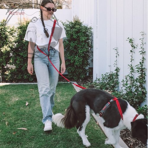 EZYDOG VODÍTKO ROAD RUNNER LEASH™ - BLUE / 210 cm
